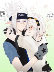 深入了解 菠萝导航